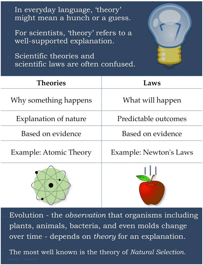 biology hypothesis and theory